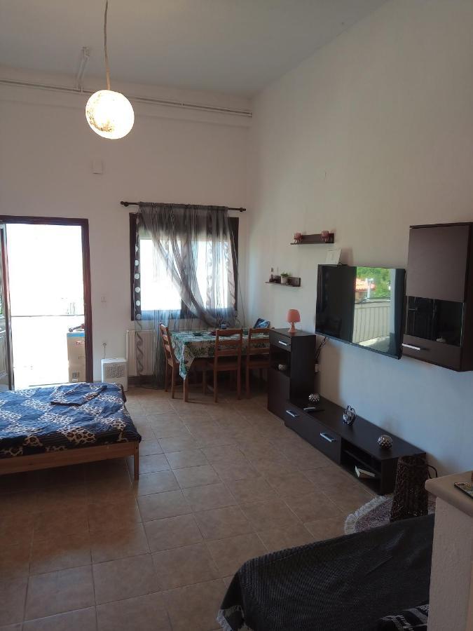 Tzoumerka Panorama Apartment *