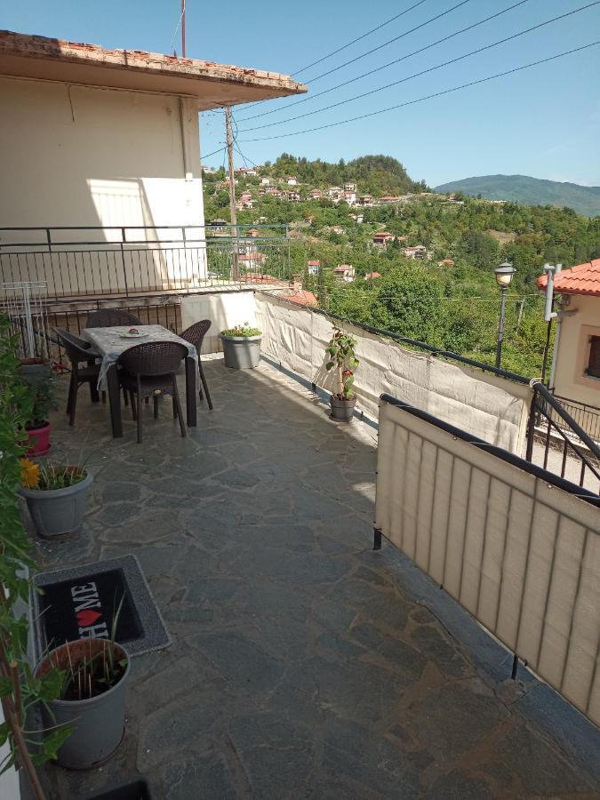 Apartment Tzoumerka Panorama Pramanta