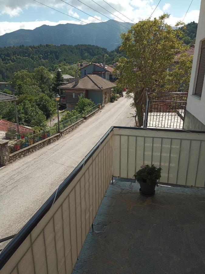 Tzoumerka Panorama Apartment *