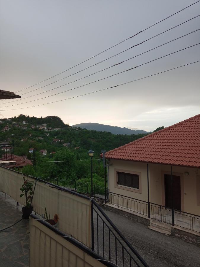 Tzoumerka Panorama Apartment