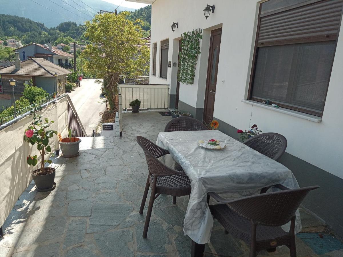 Tzoumerka Panorama Apartment *