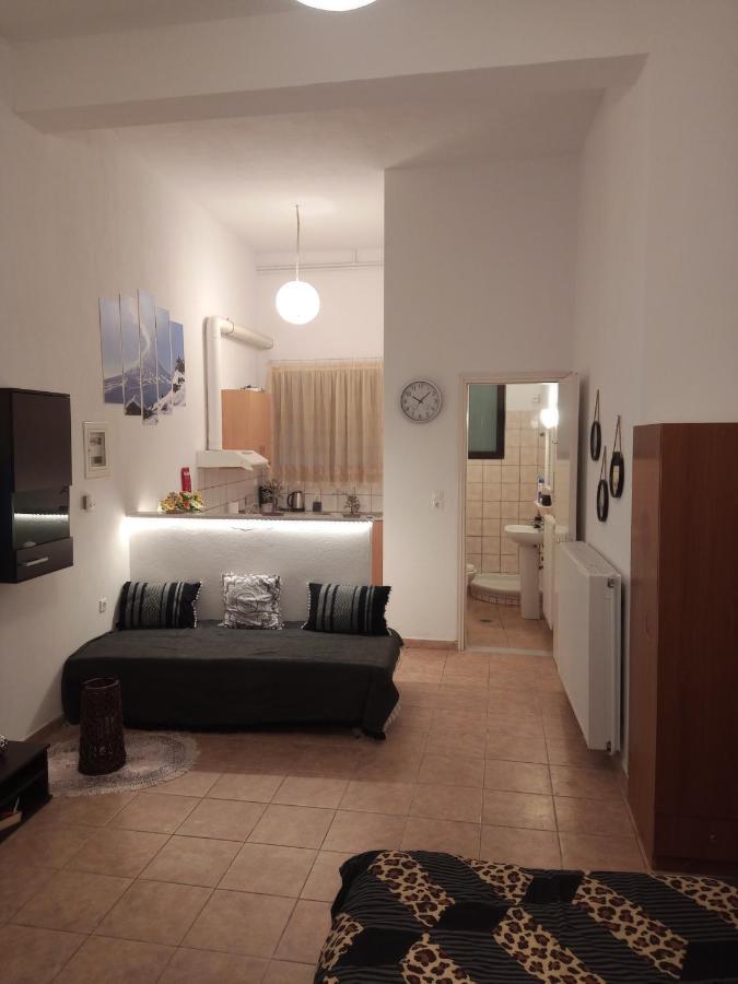 Tzoumerka Panorama Apartment Pramanta