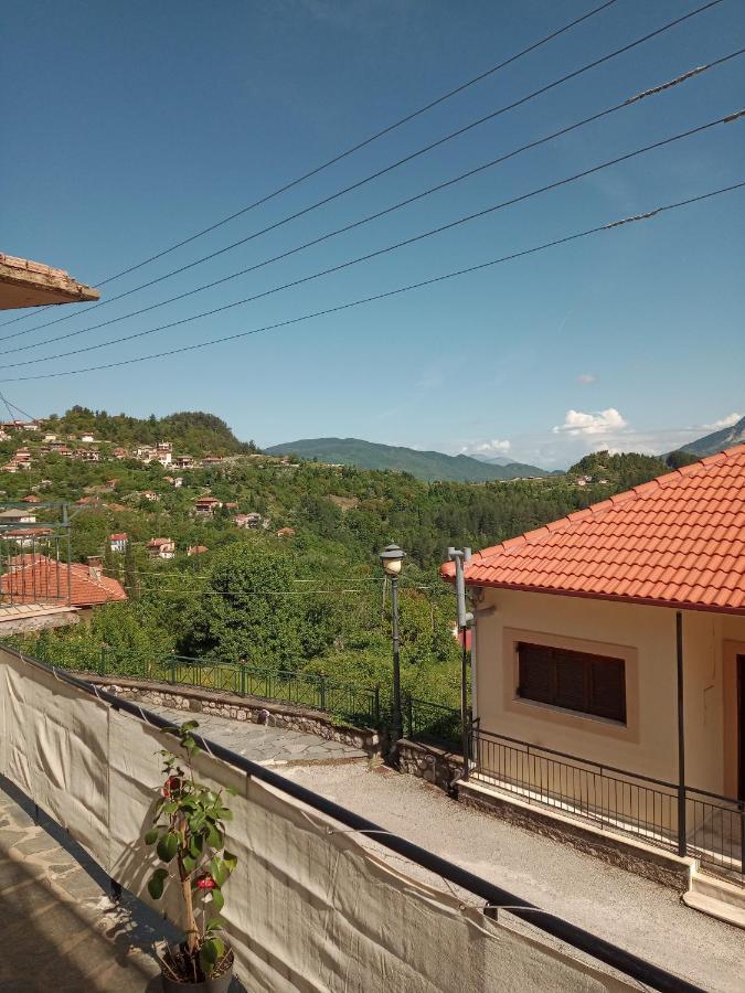 Apartment Tzoumerka Panorama *