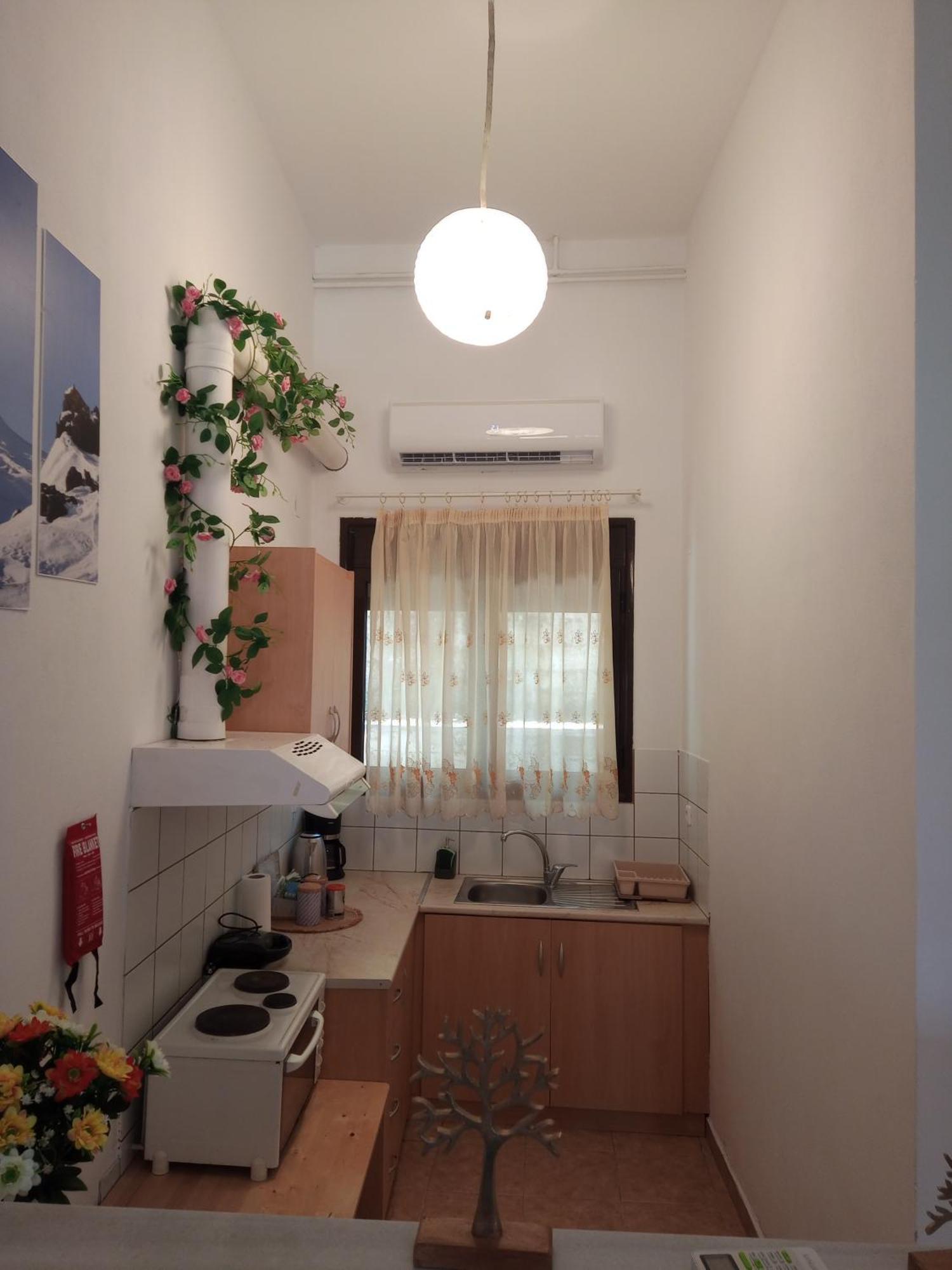 Apartment Tzoumerka Panorama *